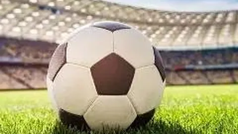 米乐体育 产品 085609 dw8