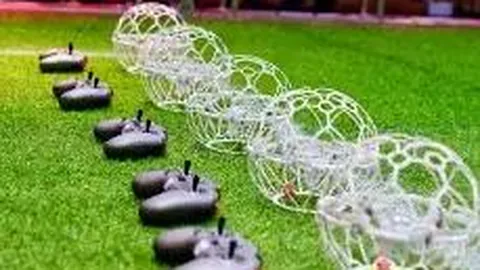 米乐体育 产品 084856 d1d