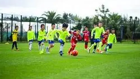 米乐体育 产品 090039 75y